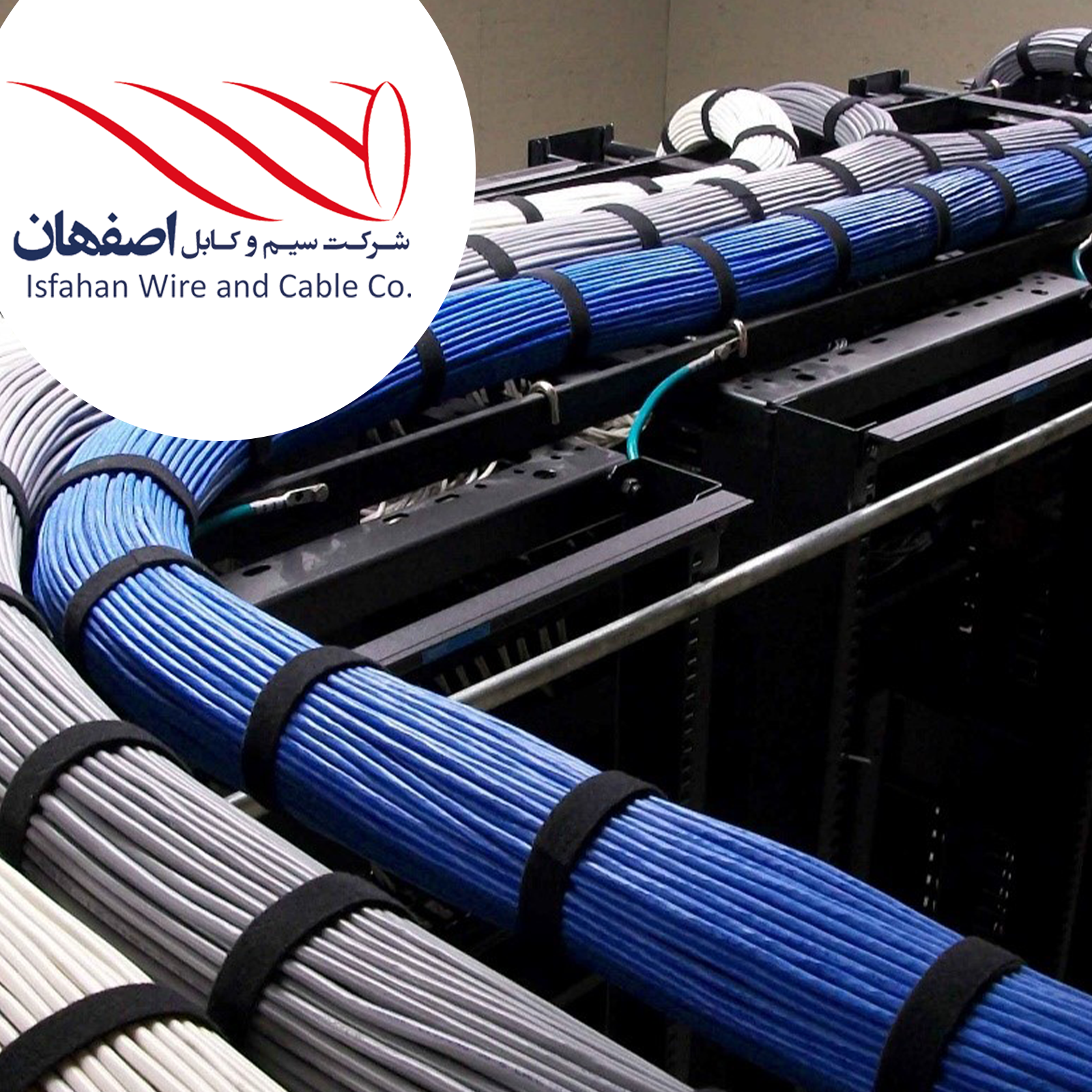 خرید کابل شبکه- اصفهان کابل